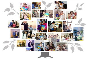 深圳my world現(xiàn)代青少兒英語課程價格 現(xiàn)代教育 hebnews.cn